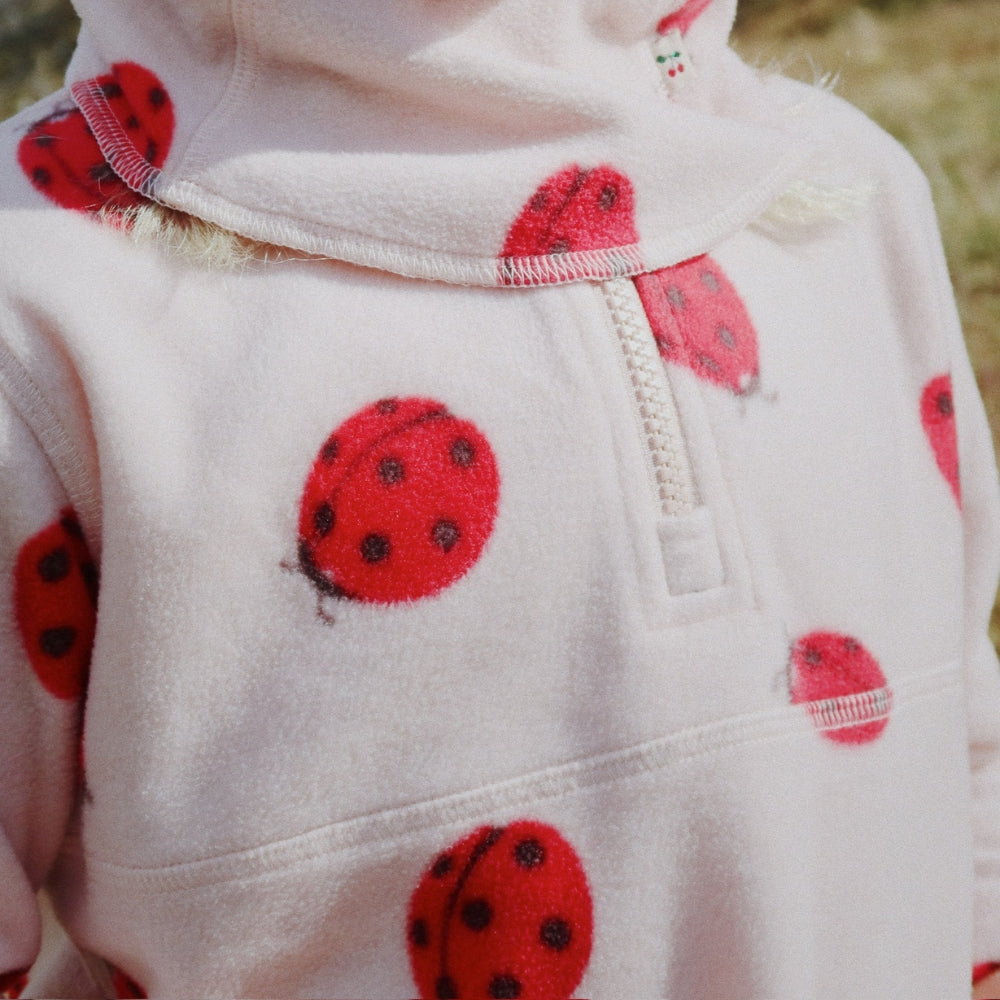 8746e2de97b7870e7063129b34e7f32e