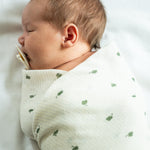 cc555c09e289eb41cd1be8dbed86ae8e