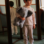 Diabild
