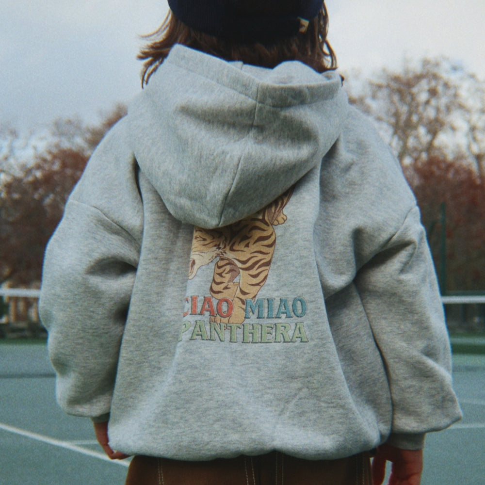 Diabild