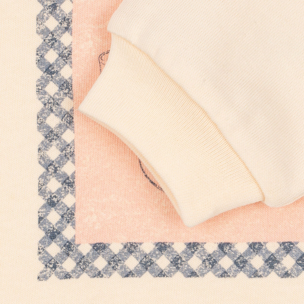 5d1cde8932df7c56335c200a006bb453