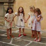 608b246057393de690c0b77b2a938a4b