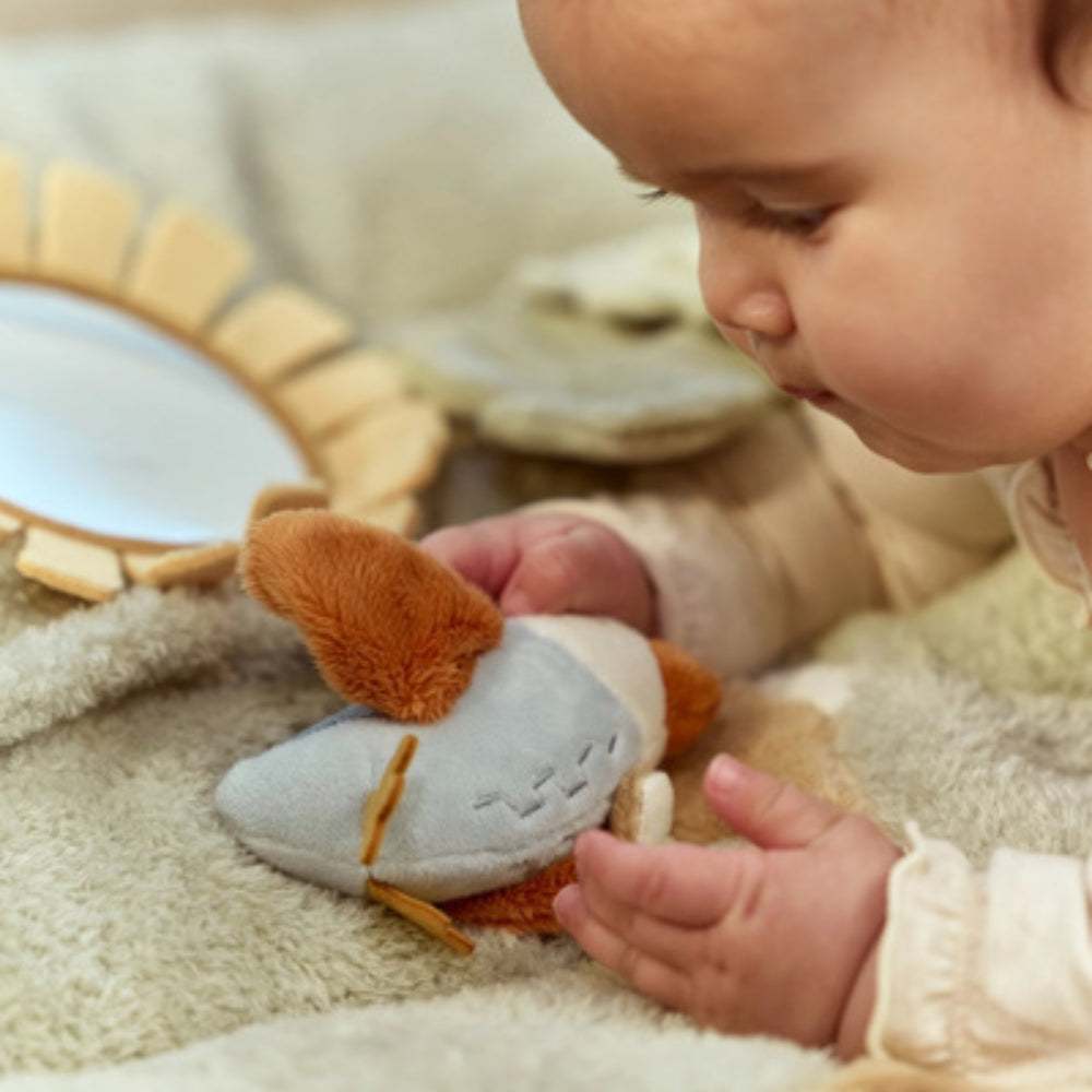 Diabild