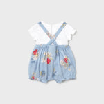 ea299daa0ea463ae885aa82423987f5c