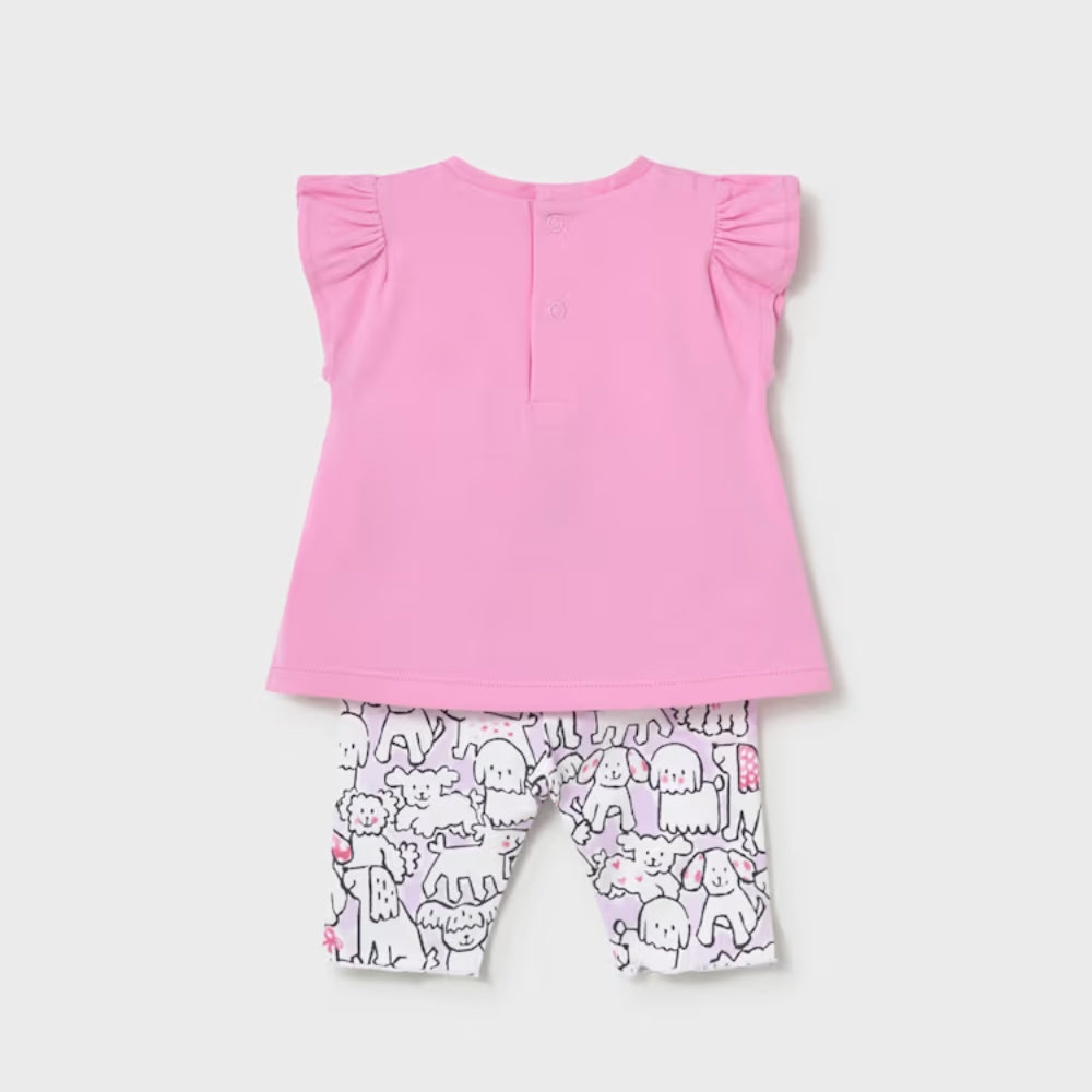 416bb6403a74fe5ba60cb55ec9c3ecb9