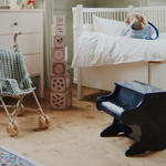 47afb00914bd609874d9616712826a86