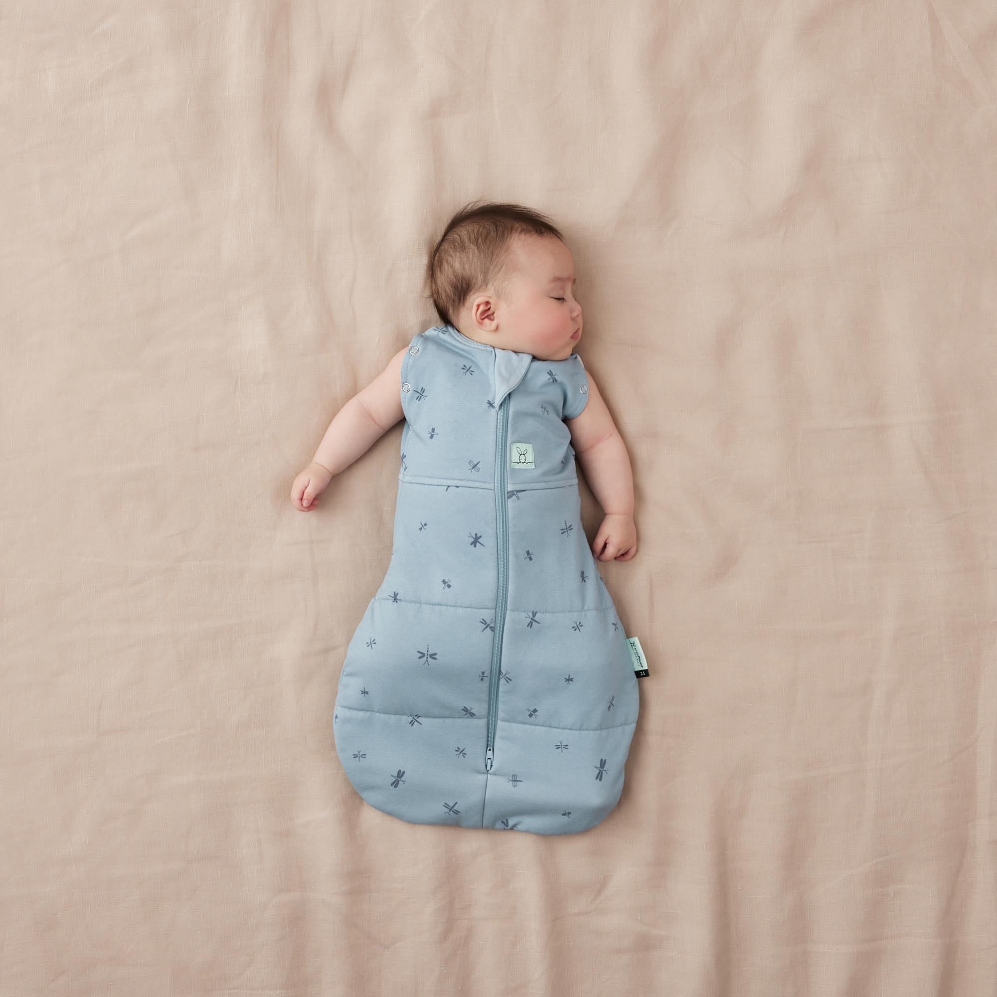 schlafsack baby 2 5 tog ergoPouch Schlafsack 2 in 1 wickeln Dragonflies 6-12 Monate. 2.5TOG – 4kidspoint