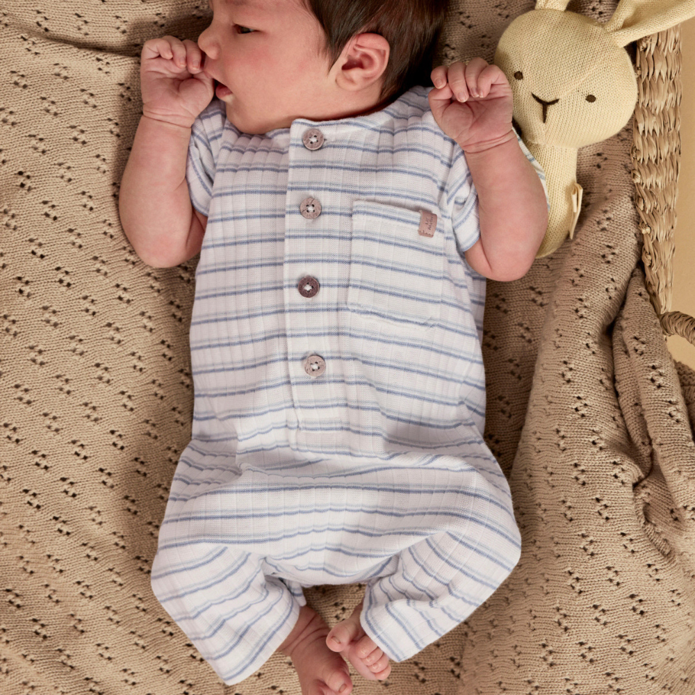 c492099c141d00ac25e6a4ba2d45261e