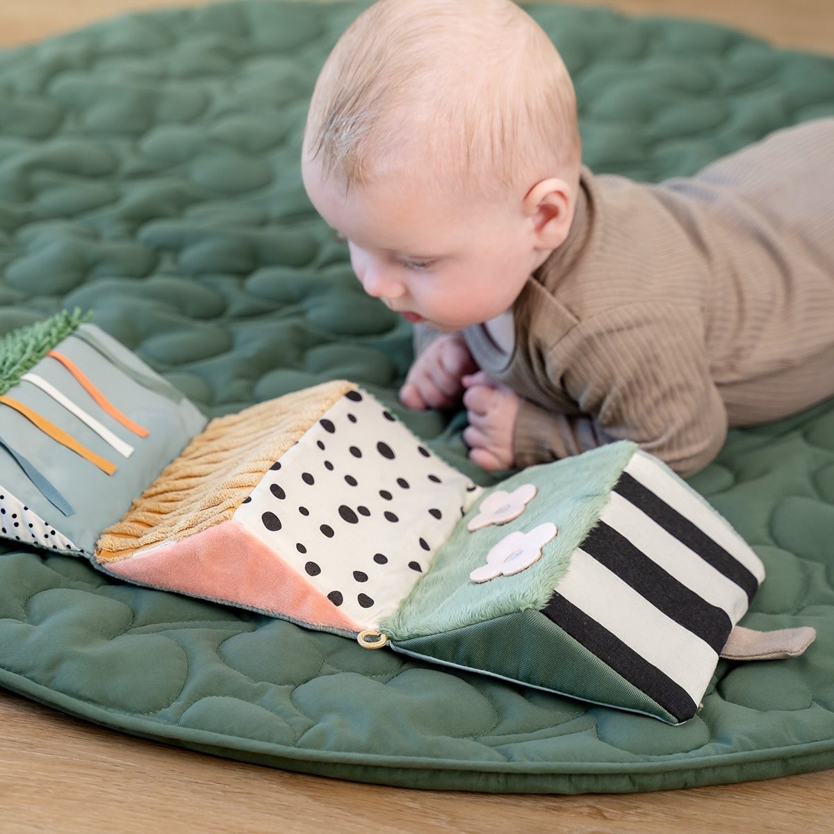 541b3b74b77d49a1098ca67d0f6cb387